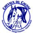 Chevaux du Causse - Randonnées équestres, Elevage Pintabian
