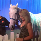 Hollylodge Thoroughbreds