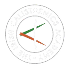 The Irish Calisthenics Academy (The I.C.A)