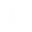 Practical Sea School - learn to sail