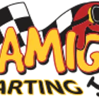 Amigo Karting