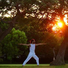 Yoga Yucca -Yoga classes at Stillpointyoga Brixton and Live Online