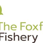 The Foxford Fishery
