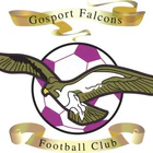 The Monckton Sports Ground Gosport Falcons FC