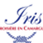 Bateau Iris - croisière en camargue