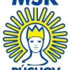 Mestská Športová Hala Púchov