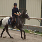 Ecurie D'ambur