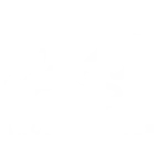 The Pink Studio - Dance + Fitness