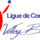 Ligue Corse de Volley Ball