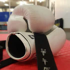 Cor Martial Arts