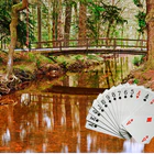 Burley Bridge Club