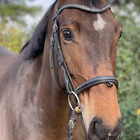 Poney Club Bruyeres