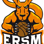 ERSM Basket