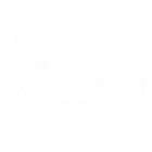 Elite Academy Of Performing Arts And Elite Dance Teacher Training
