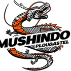 Mushindo
