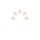 Idolem Hot Yoga Chaud