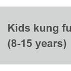Kids Kung Fu and Kickboxing Class