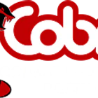 Cobra Badminton Racing