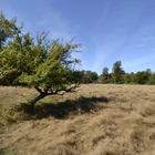 South Surrey Youth Park