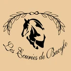 Ecuries de Bacylo