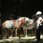 Poney Club Des Jalles