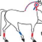 CENTRE EQUESTRE DU PLESSIS BOUCHARD