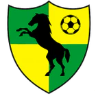 Birchwood Colts