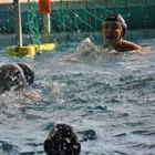SR Colmar Natation