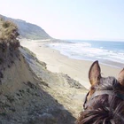 Timeless Horse Treks