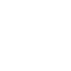 2024 FFSC Swimming Camp Summer Camp