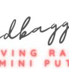 Sandbaggerz Driving Range & Mini Putt