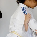 Judo Le Tauzin