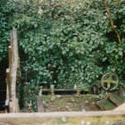 Meadow Fishery