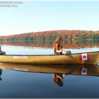 Algonquin Park Adventure Tours