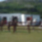 The Point Pony Trekking & Horse Riding Centre