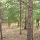 Aude paintball