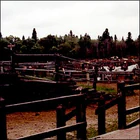Bird's Hill Park Ranch