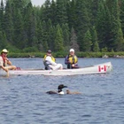 Algonquin Park Guided Canoe Trip