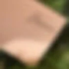 Harmony Sophroyoga Cannes