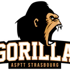 Gorilla Strasbourg - Football Américain