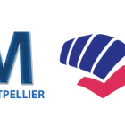 Karate Club Montpellier