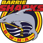 Barrie Women's Hockey Association