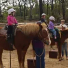 5 Day Colt Starting Clinic