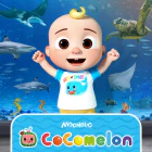 Pirate Adventure Mini Golf