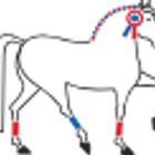 CENTRE EQUESTRE PAS DES LANCIERS