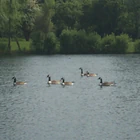 Windsorview Lakes