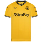 Wolverhampton Wanderers Football Club