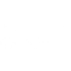 The Hive Gym