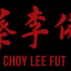 Sydney Teens Kung Fu Classes