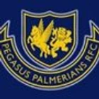 Pegasus Palmerians Rugby Club